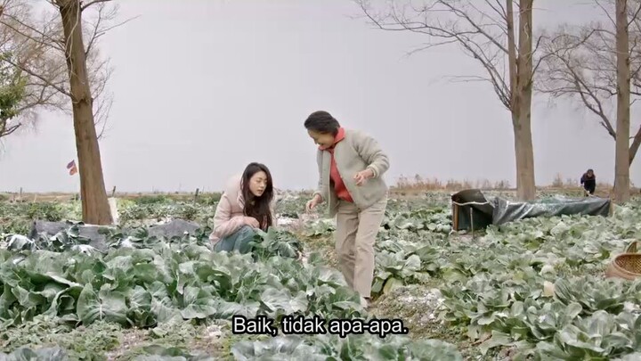 Shine on Me eps 13 sub indo