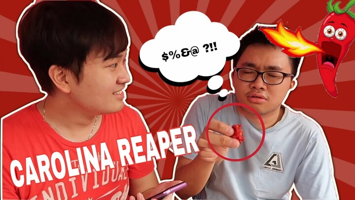 Bayar Orang2 Buat Makan Cabe Carolina Reaper Terpedas di DUNIA