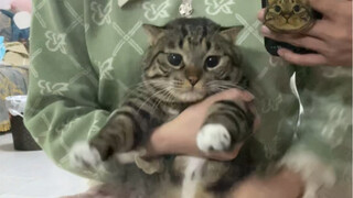 โอ้ไม่นะ เจ้าตัวเหม็นๆ นั่นถูกเห็นเปลือยกายแล้ว!