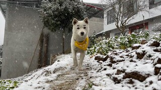 A group of little painters has arrived in the snow!