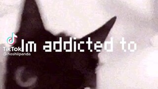 POOR CAT