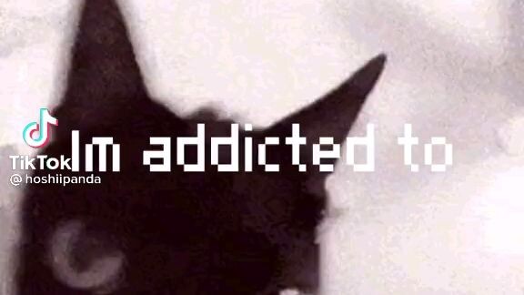 POOR CAT