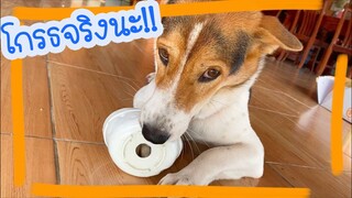 โลกของแสนดี ตอน ยั่วโมโห