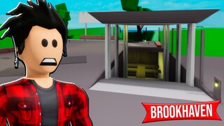 NEW UPDATE IN BROOKHAVEN RP!