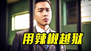 男人拥有高智商，竟用一袋辣椒就成功越狱，犯罪片