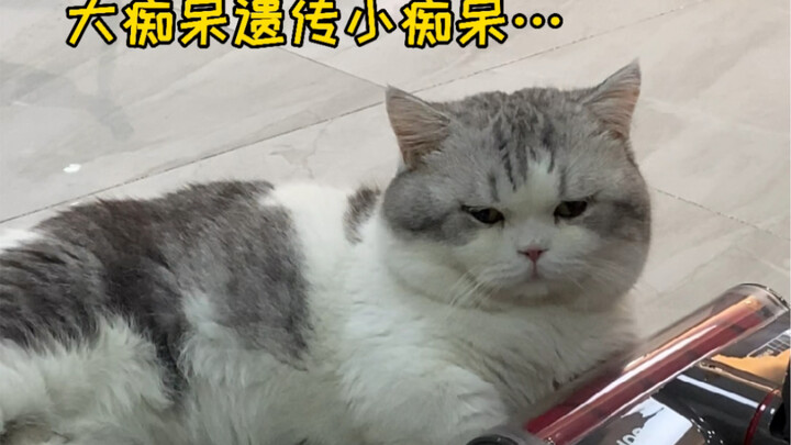 Đến mơ cũng không ngờ lại xảy ra chuyện này…