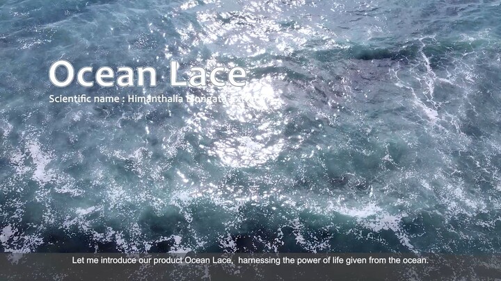 Ocean Lace (ENG)_TSOC