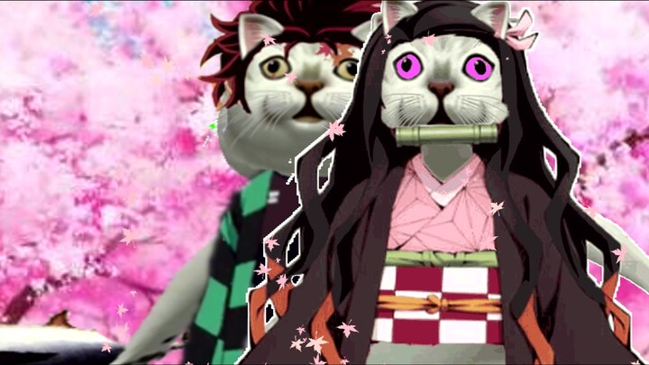 ใบมีดโอเมก้าแมวผี