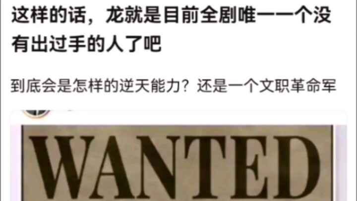这样的话，龙就是目前全剧唯一一个没有出过手的人了吧。海贼王