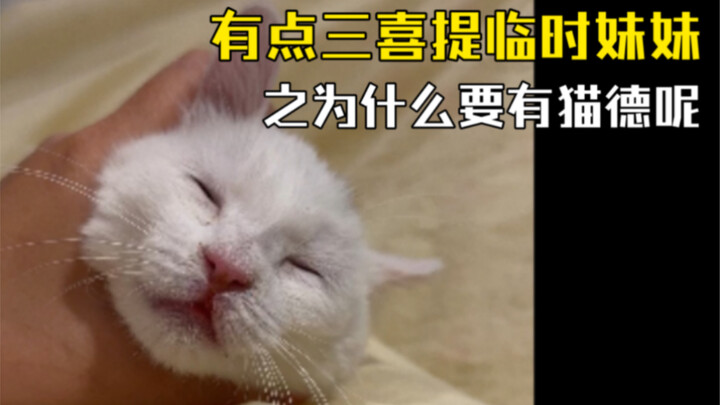 Seriously, why even have a Feral Druid?