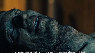 你见过这样寄生的吗？