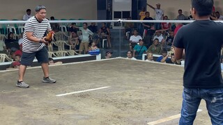 Sabong matina cock 1st fight