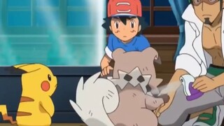 Nỗi khổ của pokemon khi ko có người HUẤN LUYỆN