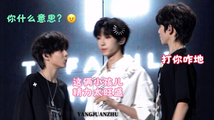 家里养了两只比格怎么办？