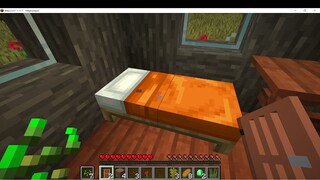 first day playing mincraft