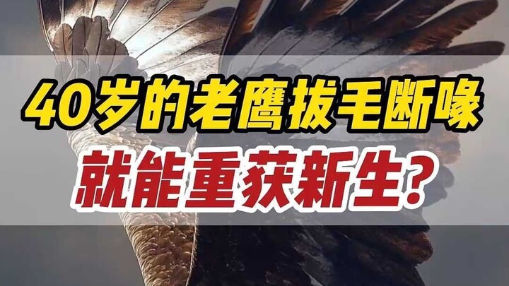 I've believed this story for 30 years...