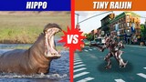 Hippo vs Tiny Raijin | SPORE