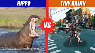 Hippo vs Tiny Raijin | SPORE