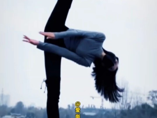 进来看看恒大歌舞团十二朵金花