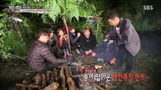 Law of the Jungle in Wild New Zealand [3] SUB INDO