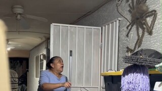 Very scary "giant spider" prank... I hope this mom is okay