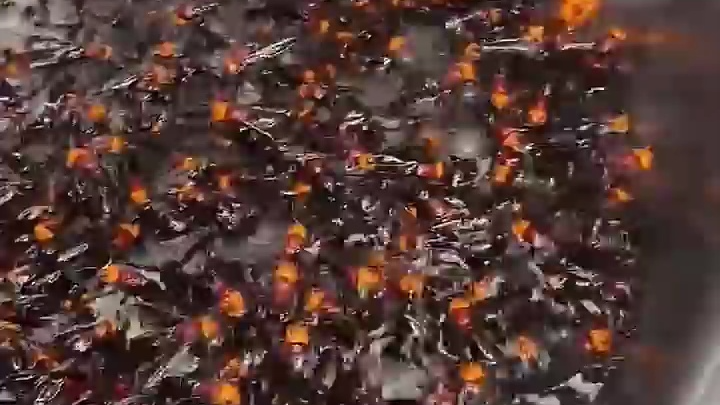 Electric Bee Shot