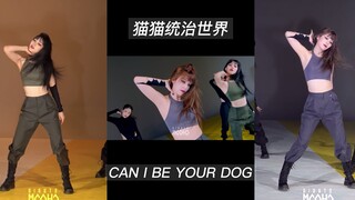 [4K 60fps] ثلاثة أزواج من العيون مرحب بها للدخول - كلاسيكيات عالمية: "Cats Rule the World" و"CAN I B