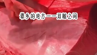 仙子