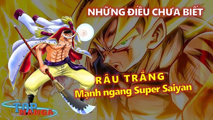 Whitebeard mạnh ngang Super Saiyan & Những điều có thể bạn chưa biết về One Piece