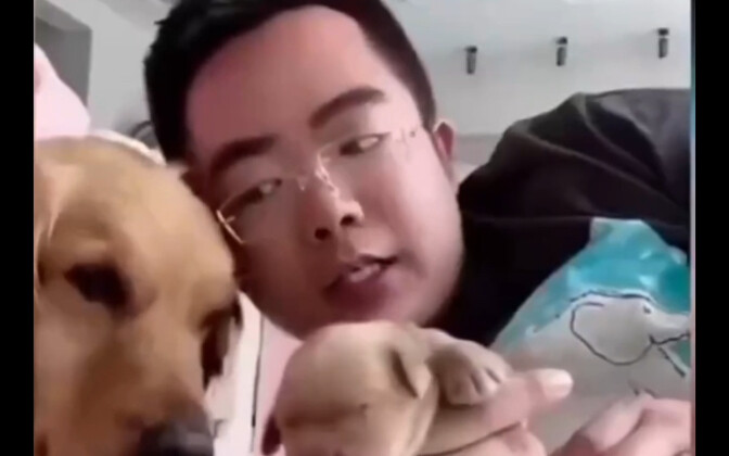 Drink soup before eating a meal.