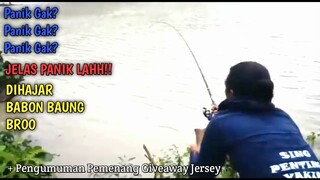 SAMPE PANIK..!! WAKTU JORAN MELENGKUNG TAJAM DIHAJAR BABON BAUNG SUNGAI SERAYU!!