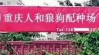 这就是中文的魅力嘛~