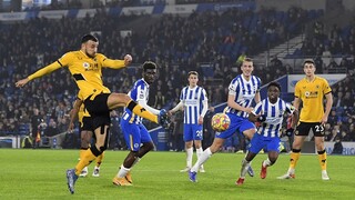 🔴 Trực tiếp Wolves vs Brighton | Vòng 35 Premier League