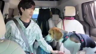 Lục Tinh Tài đã tìm ra cách khiến chú chó cưng của Lý Xương Thiệp nghe lời, kỹ năng bắt chước giọng 