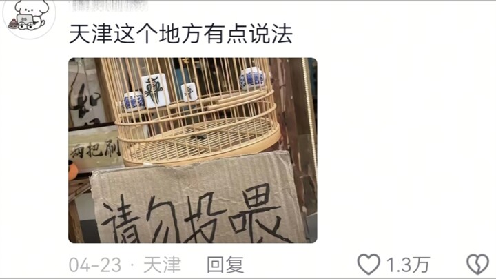 天津离人类已经很远了🤣🤌
