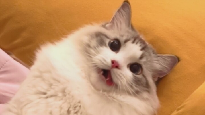 Your gas tank’s maxed out—no more moves left!