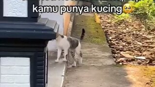 oyen emang keren