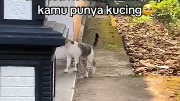 oyen emang keren