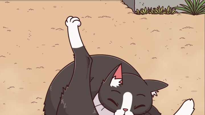 A casual flick of the finger—why does the cat immediately challenge you to a duel?