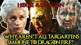 Why Don’t All Targaryens Have Immunity to Dragon Fire? House of the Dragon - Explored