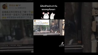 ชีวิตจริงกับในซีรีส์ไม่ต่างกัน😂🤣 #SCIMystery #เกาฮั่นอวี่ #ไป๋อวี่ถัง #จี้เซียวปิง #จั่นเหย้า