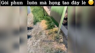 Gòi phun luôn vào họng tao đây nè