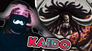 KAIDO HAS ARRIVED!!!!! One Piece REACTION Episode 739