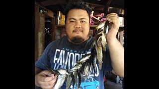 Fishing Using Home Made Bait  {Pait or Paitan} (Part 1)