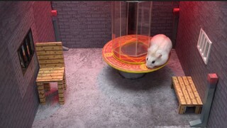 ภารกิจของหนูแฮมสเตอร์ EP 465