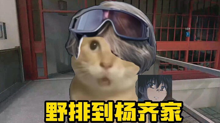 😭野 排 成 大 兵 了😥