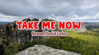 Take Me Now - David Gates (Bread) | Karaoke Version