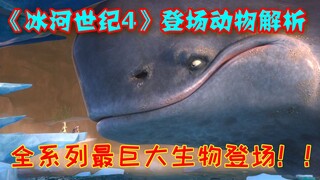 百米巨鲸究竟是何方海怪？！【浅析《冰河世纪4》登场的动物】