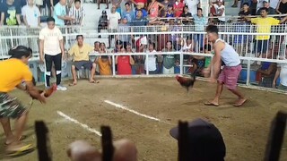 buyugin