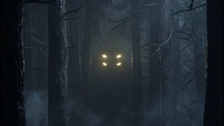 The howler